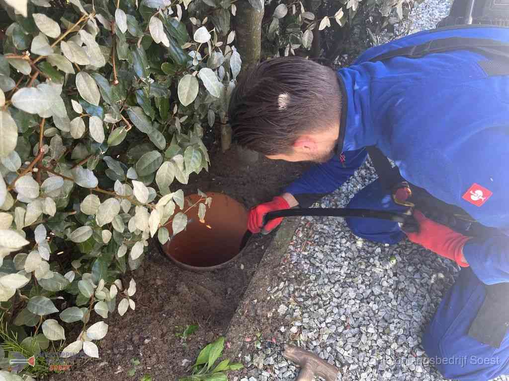 Rioolvliegjes Soest Rioolvliegjes Soest